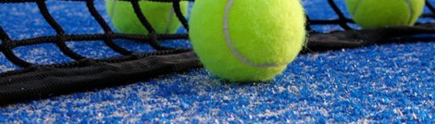 DISEÑO DE WEBS Y GESTIÓN DE PISTAS DE PADEL